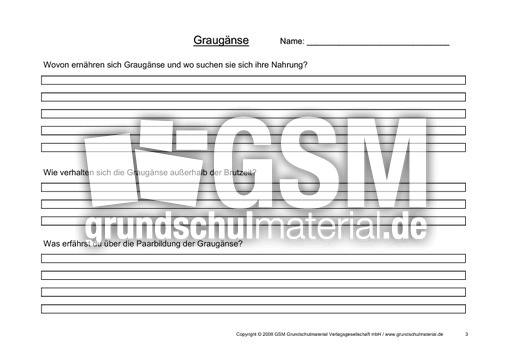 Arbeitsblatt-Graugänse-3.pdf